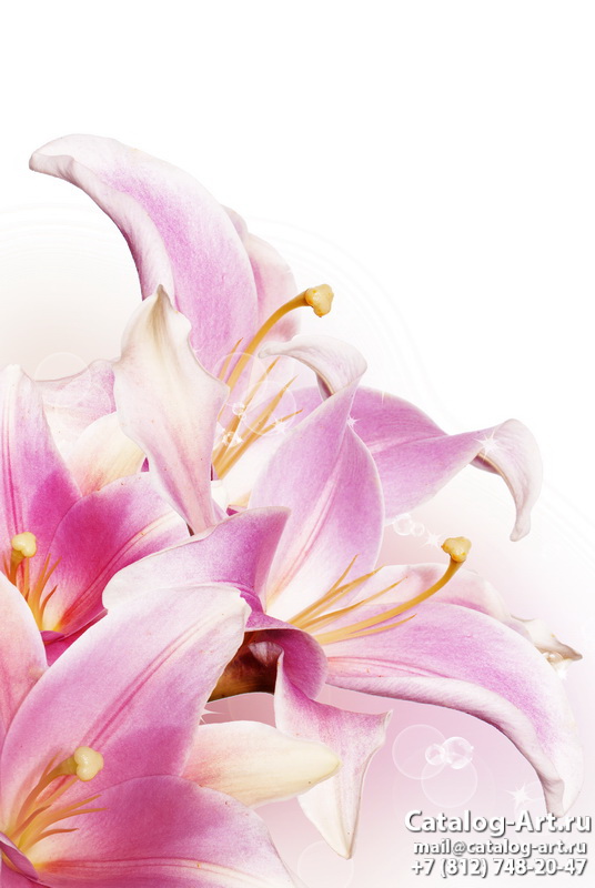 Pink lilies 31
